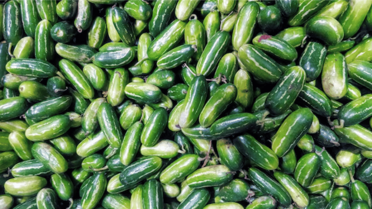 ദിവസവും ആഹാരത്തിൽ കോവയ്ക്ക ഉൾപ്പെടുത്തുന്നത് പ്രമേഹ രോ​ഗികൾക്ക് ഏറെ നല്ലതാണ്. പ്രമേഹത്തിന്റെ തോത് കുറയ്ക്കാൻ ഇവയ്ക്കാകും.