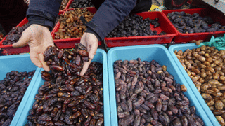 Raw Coconut Benefits: കറിക്ക് അരയ്ക്കാൻ മാത്രമല്ല…! ദിവസവും തേങ്ങ കഴിച്ചാലുള്ള ​ഗുണങ്ങൾ നിങ്ങൾക്കറിയാമോ?