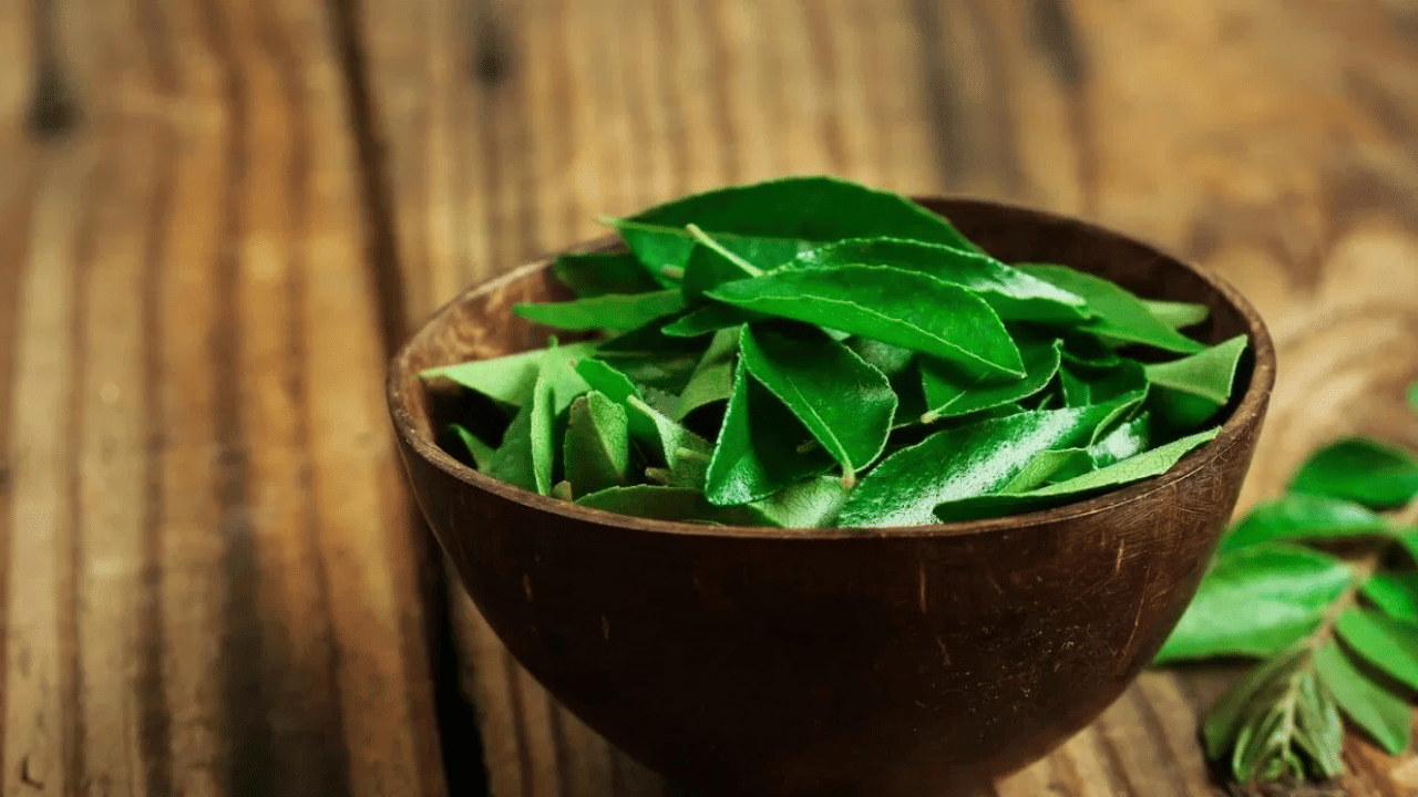 ആന്റി ഓക്സിഡന്റുകൾ ധാരാളം അടങ്ങിയിട്ടുള്ള കറിവേപ്പില ഭക്ഷണത്തിൽ ഉൾപ്പെടുത്തുന്നത് രോ​ഗപ്രതിരോധ ശേഷി വർധിപ്പിക്കുന്നു.