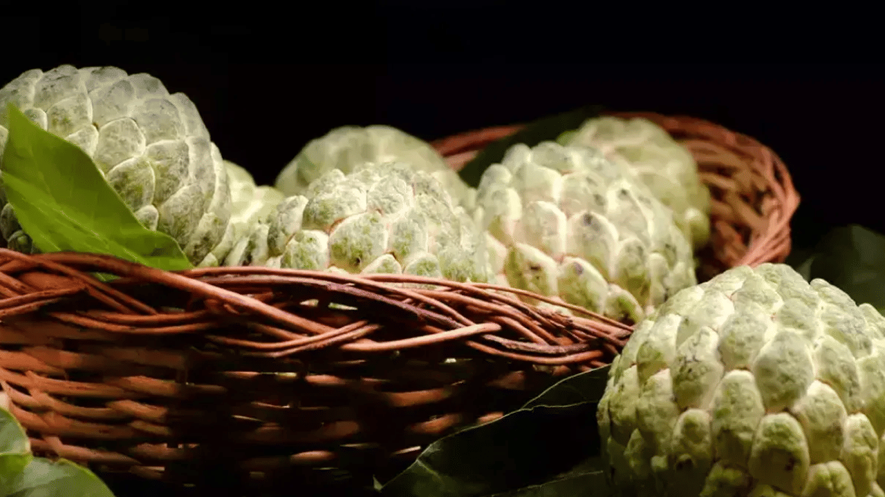 പൊട്ടാസ്യത്താൽ സമ്പന്നമായ സീതപ്പഴം രക്തസമ്മര്‍ദ്ദം നിയന്ത്രിക്കാനും കൊളസ്ട്രോള്‍ കുറയ്ക്കാനും സഹായിക്കുന്നു.