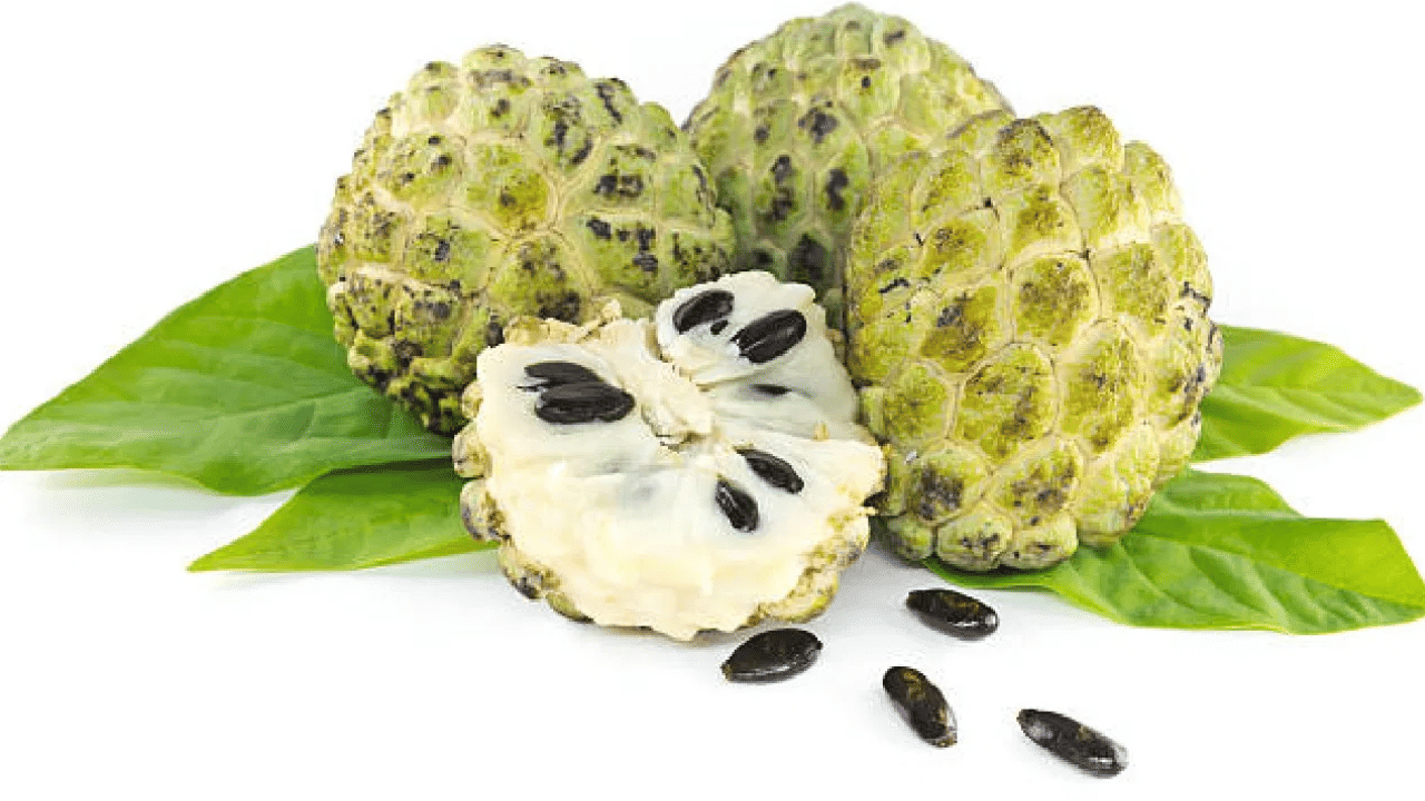 സീതപ്പഴത്തില്‍ ധാരാളം ഇരുമ്പ് അടങ്ങിയിട്ടുണ്ട്. അതിനാല്‍ വിളര്‍ച്ചയുള്ളവര്‍ക്ക് ഇവ ഡയറ്റിൽ ഉൾപ്പെടുത്താം.