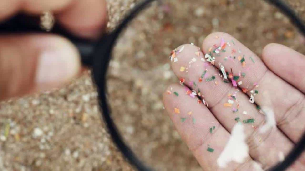 Microplastics in Foods: നിങ്ങളുടെ ഭക്ഷണത്തിൽ മൈക്രോപ്ലാസ്റ്റിക് ഉണ്ടോ? ശ്രദ്ധിക്കേണ്ടത് എന്തൊക്കെ?