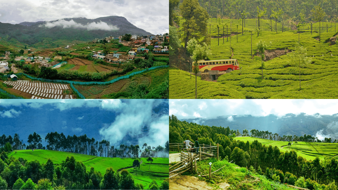 Munnar Vattavada: ഭൂമിയുടെ സ്വർ​​ഗത്തിലേക്കൊരു യാത്ര പോകാം; മൂന്നാർ വട്ടവട പോകുന്നവർ കാണേണ്ട കാഴ്ച്ചകൾ