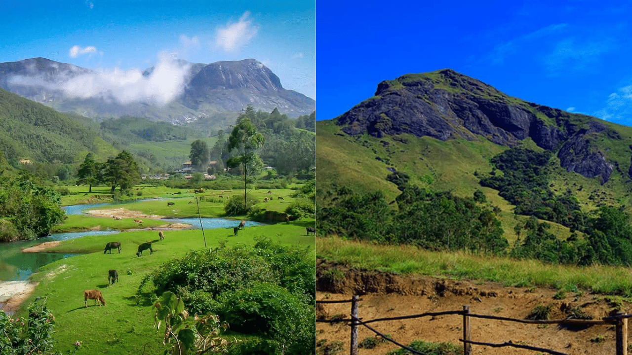 Anamudi Elephant Reserve: ഏറ്റവും കൂടുതൽ ആനകൾ ആനമുടിയിലോ?; അറിയാം ആന സങ്കേതത്തിൻ്റെ പ്രത്യേകതകൾ