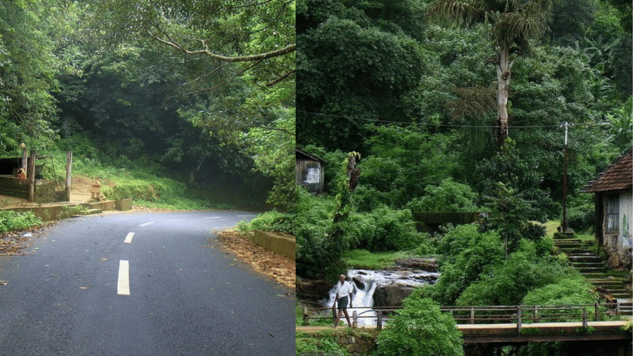 Bonakkad Village: കൊടും വനം, വെള്ളച്ചാട്ടം, പ്രേതബംഗ്ലാവ്; ബോണക്കാട് ഗ്രാമം ബ്രിട്ടീഷുകാരുടേതോ? Bonakkad Village: കൊടും വനം, വെള്ളച്ചാട്ടം, പ്രേതബംഗ്ലാവ്; ബോണക്കാട് ഗ്രാമം ബ്രിട്ടീഷുകാരുടേതോ?
