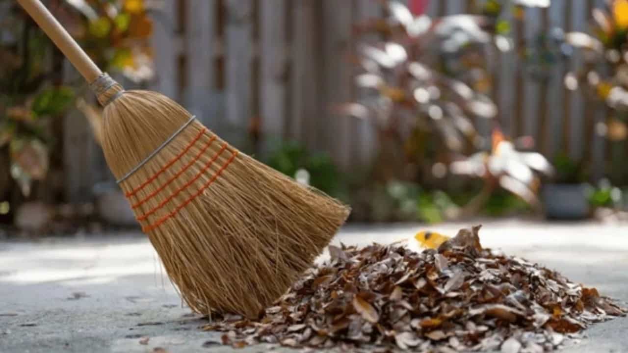 Broom Tips: ഈ ദിവസങ്ങളിൽ ചൂല് വാങ്ങരുത്, കൃത്യമായ ദിവസമുണ്ട്; അറിയേണ്ടത് Broom Tips: ഈ ദിവസങ്ങളിൽ ചൂല് വാങ്ങരുത്, കൃത്യമായ ദിവസമുണ്ട്; അറിയേണ്ടത്