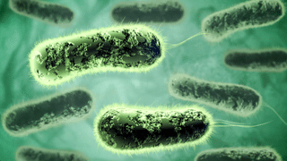 Sepsis Treatment : ആയൂർവേദത്തിലൂടെ സെപ്സിസ് ചികിത്സിച്ച് ഭേദമാക്കാം; പതഞ്ജലി ഗവേഷണം