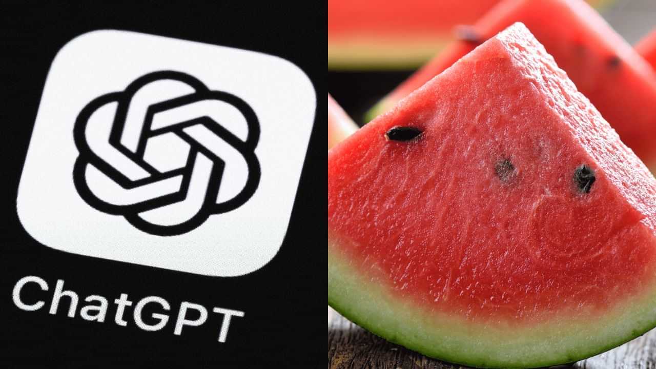 Viral News: ശ്ശൊ ഞാനില്ലാതെ പറ്റില്ലെന്നായി! മധുരമുള്ള തണ്ണിമത്തന് വേണ്ടി ചാറ്റ് ജിപിടിയുടെ സഹായം തേടി യുവാവ്