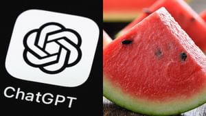 Viral News: ശ്ശൊ ഞാനില്ലാതെ പറ്റില്ലെന്നായി! മധുരമുള്ള തണ്ണിമത്തന് വേണ്ടി ചാറ്റ് ജിപിടിയുടെ സഹായം തേടി യുവാവ് Viral News: ശ്ശൊ ഞാനില്ലാതെ പറ്റില്ലെന്നായി! മധുരമുള്ള തണ്ണിമത്തന് വേണ്ടി ചാറ്റ് ജിപിടിയുടെ സഹായം തേടി യുവാവ്