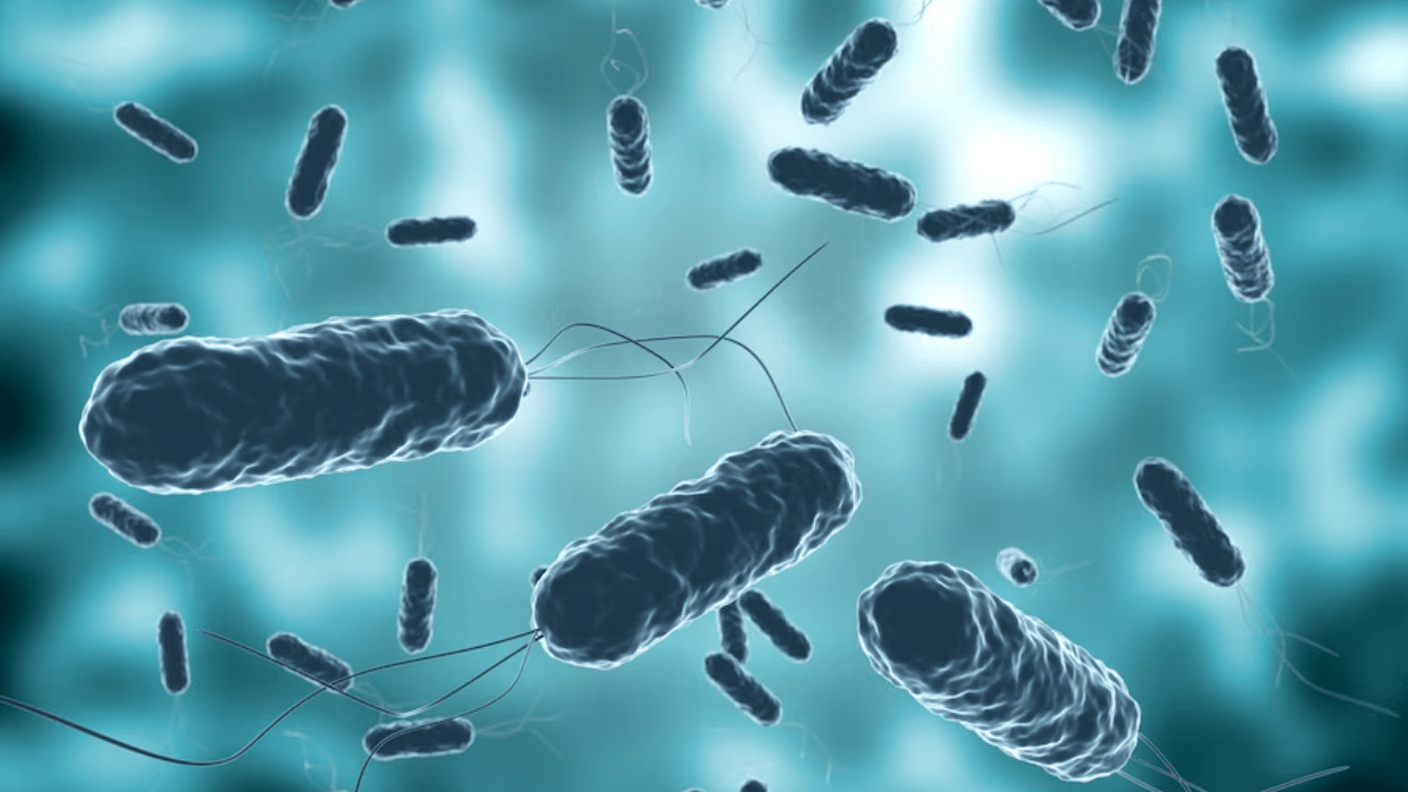Cholera Death: തിരുവനന്തപുരത്ത് കോളറ ബാധിച്ച് മരണം; ആശങ്കപ്പെടേണ്ടെന്ന് ആരോഗ്യ വകുപ്പ്