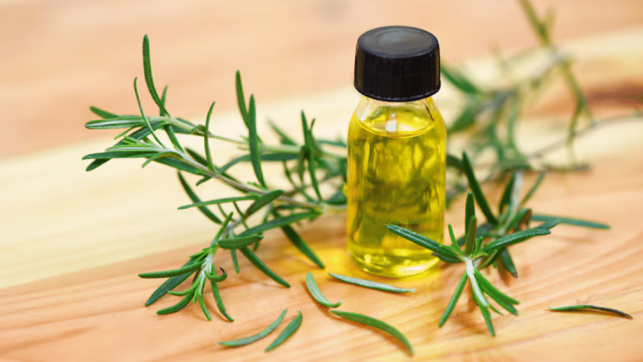 Hair Growth Oils: മുടി മുട്ടോളം വളരാൻ ചെയ്യേണ്ടത് ഇത്രമാത്രം; രാത്രിയിൽ പുരട്ടാവുന്ന എണ്ണകൾ ഏതെല്ലാം