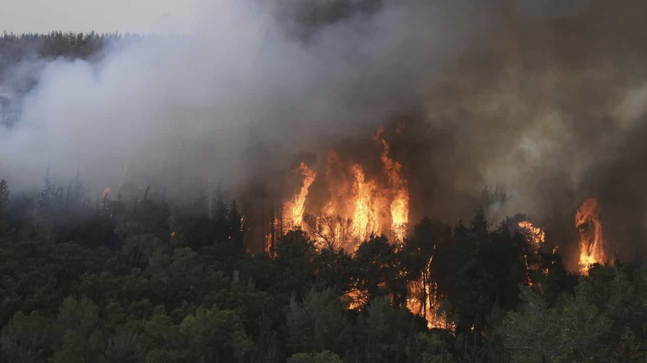 Jerusalem Fire: ജറുസലേമിന് സമീപം വന്‍ തീപിടിത്തം, ഹൈവേ അടച്ചു, ആളുകളെ ഒഴിപ്പിച്ചു