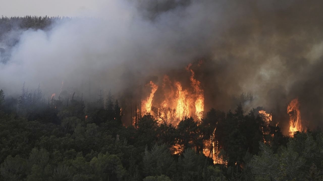 Jerusalem Fire: ജറുസലേമിന് സമീപം വന്‍ തീപിടിത്തം, ഹൈവേ അടച്ചു, ആളുകളെ ഒഴിപ്പിച്ചു