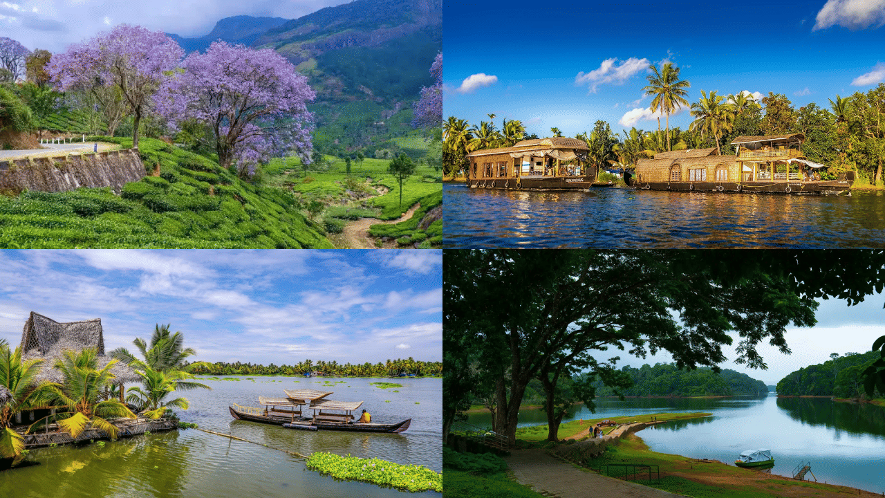 Kochi Scenic Road Trips: പ്രകൃതിയെ ഇണങ്ങിയൊരു വാരാന്ത്യ യാത്ര പോയാലോ! അതും നമ്മുടെ കൊച്ചിയിൽ നിന്ന്