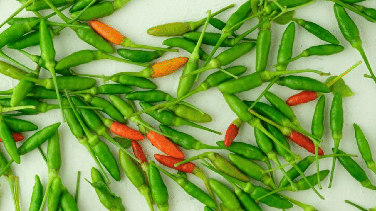 കാന്താരിമുളക് അസിഡിറ്റി, വയര്‍ വീർത്ത് വരുന്നത്, വയറു വേദന തുടങ്ങിയ ദഹനപ്രശ്നങ്ങളെ പരിഹരിക്കുന്നു.