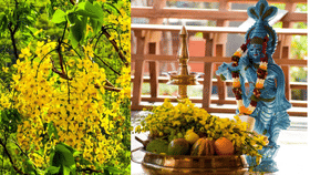 മറ്റു പൂക്കൾക്കില്ലാത്ത എന്തു പ്രത്യേകതയാണ് കൊന്നയ്ക്കുള്ളത്...