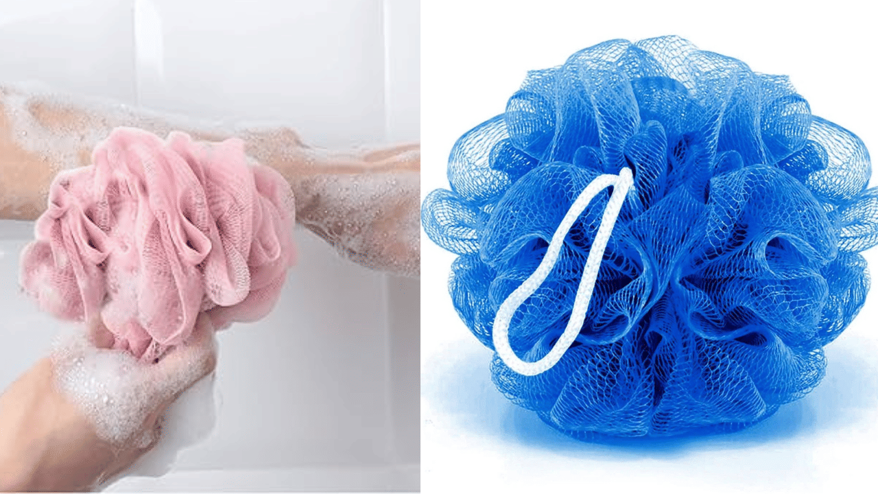 Loofah: കുളിക്കാൻ ഉപയോ​ഗിക്കുന്ന ലൂഫയിൽ ഒളിഞ്ഞിരിക്കുന്നത് വലിയ രോഗാണുക്കൾ; മാറ്റേണ്ടത് എപ്പോൾ?