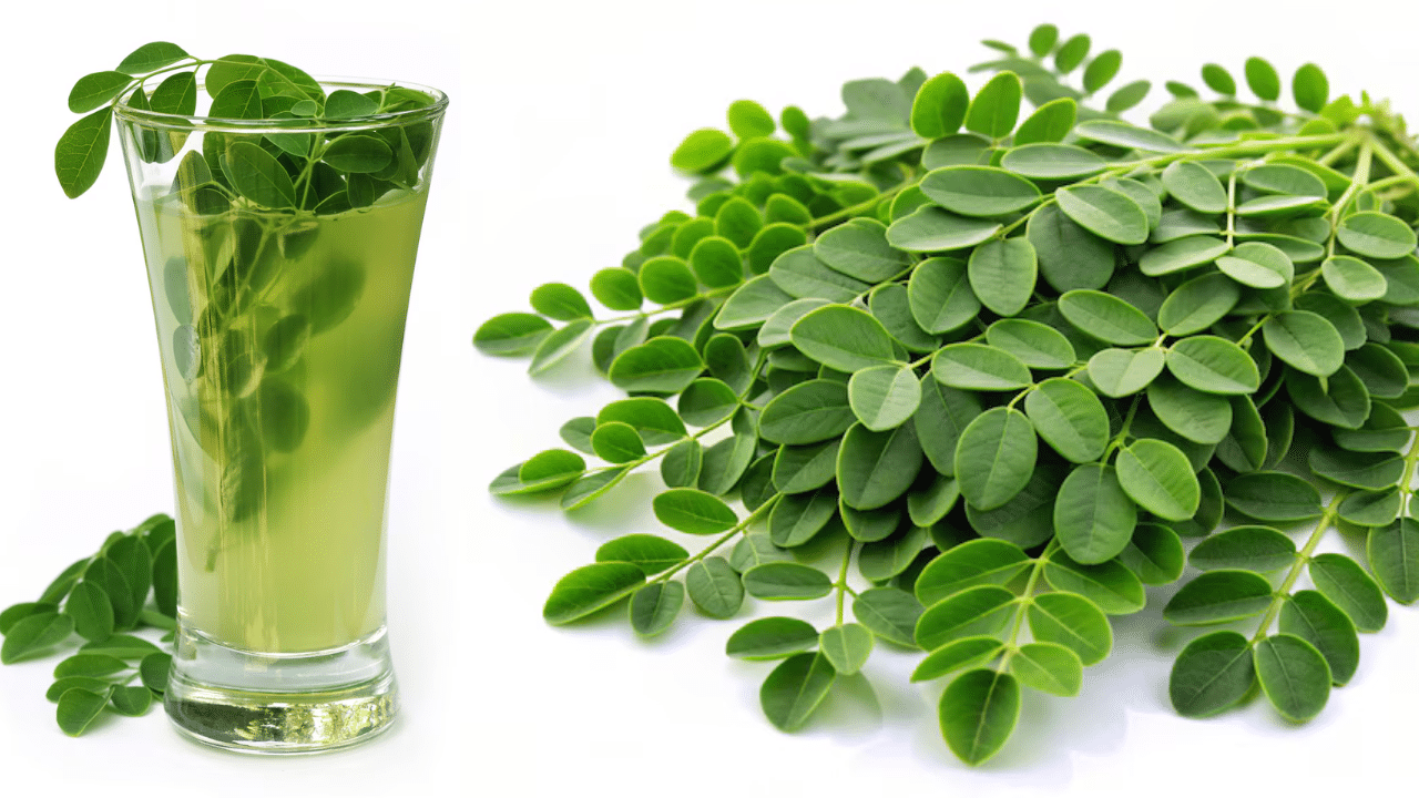 Drumstick Water For Hair Growth: മുടി വളർച്ചയ്ക്ക് മുരിങ്ങയില വെള്ളം എങ്ങനെ ഉണ്ടാക്കാം? കഴിക്കേണ്ടത് ഇങ്ങനെ
