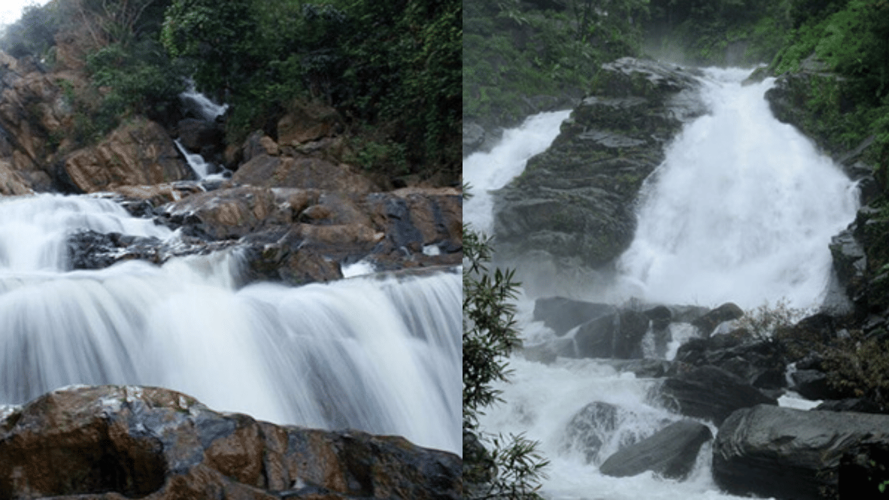 Meenmutty Waterfalls: വയനാടിൻ്റെ സ്വന്തം മീൻമുട്ടി വെള്ളിച്ചാട്ടം; കാണാം തൊട്ടറിയാം പ്രകൃതിയുടെ സൗന്ദര്യത്തെ Meenmutty Waterfalls: വയനാടിൻ്റെ സ്വന്തം മീൻമുട്ടി വെള്ളിച്ചാട്ടം; കാണാം തൊട്ടറിയാം പ്രകൃതിയുടെ സൗന്ദര്യത്തെ