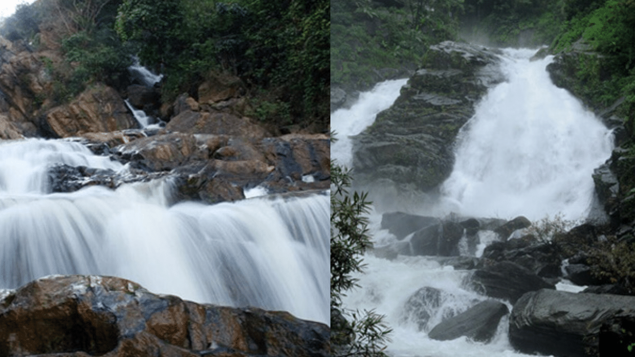 Meenmutty Waterfalls: വയനാടിൻ്റെ സ്വന്തം മീൻമുട്ടി വെള്ളിച്ചാട്ടം; കാണാം തൊട്ടറിയാം പ്രകൃതിയുടെ സൗന്ദര്യത്തെ