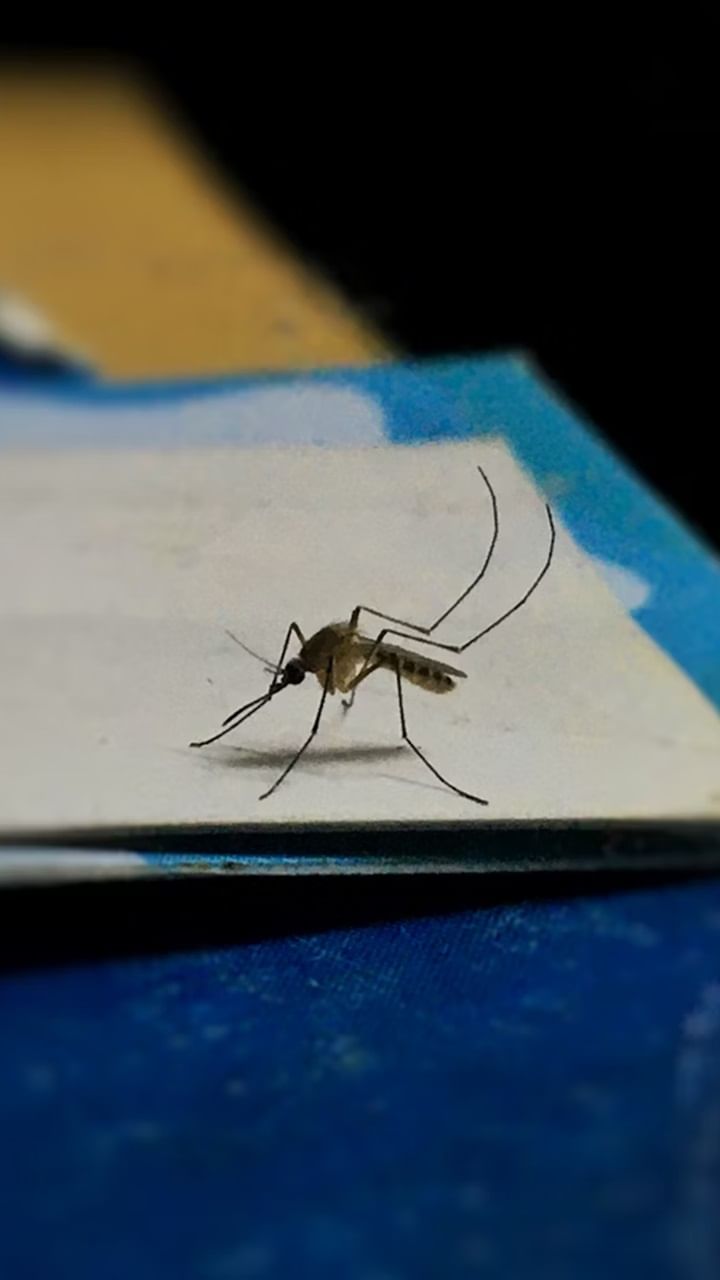 സംസ്ഥാനത്ത് പലയിടങ്ങളിലും ശക്തമായ മഴ പെയ്യുന്നുണ്ട്