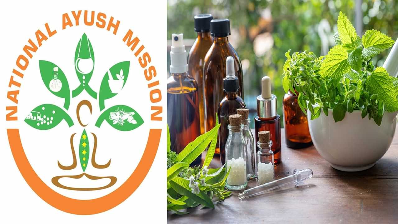 NAM Kerala Recruitment: ഇന്റര്വ്യൂവിലൂടെ സര്ക്കാര് സ്ഥാപനത്തില് ജോലി, നാഷണല് ആയുഷ് മിഷന് കേരളയില് അവസരം NAM Kerala Recruitment: ഇന്റര്വ്യൂവിലൂടെ സര്ക്കാര് സ്ഥാപനത്തില് ജോലി, നാഷണല് ആയുഷ് മിഷന് കേരളയില് അവസരം