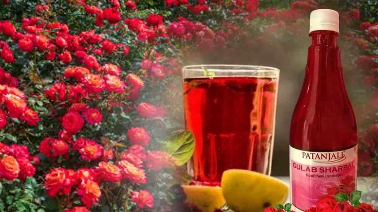 Patanjali Gulab Sharbat : റോസാ പൂവിൽ നിന്നും ശർബത്തുമായി പതഞ്ജലി; ഇത് കർഷകർക്ക് എങ്ങനെ ഗുണം ചെയ്യും?