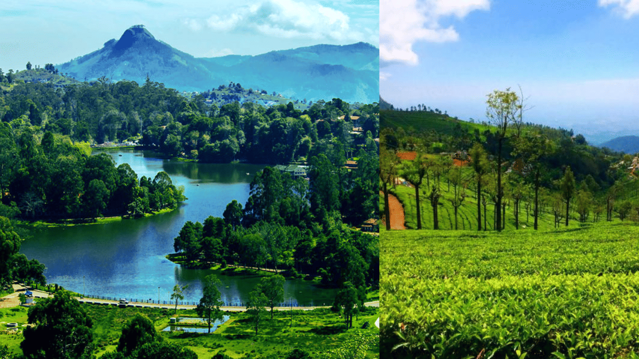 Plastic Ban In Ooty: ഊട്ടിയിലും കൊടൈക്കനാലിലും പോകുന്നവരുടെ ശ്രദ്ധയ്ക്ക്! നിയന്ത്രണങ്ങൾ എന്തെല്ലാം Plastic Ban In Ooty: ഊട്ടിയിലും കൊടൈക്കനാലിലും പോകുന്നവരുടെ ശ്രദ്ധയ്ക്ക്! നിയന്ത്രണങ്ങൾ എന്തെല്ലാം