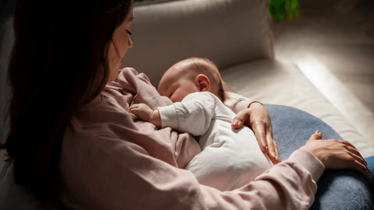 Postnatal Care: പ്രസവശേഷം അമ്മമാർ കഴിക്കേണ്ടത് ഈ ഭക്ഷണങ്ങൾ? ശ്രദ്ധിക്കേണ്ടത് ഇതെല്ലാം Postnatal Care: പ്രസവശേഷം അമ്മമാർ കഴിക്കേണ്ടത് ഈ ഭക്ഷണങ്ങൾ? ശ്രദ്ധിക്കേണ്ടത് ഇതെല്ലാം