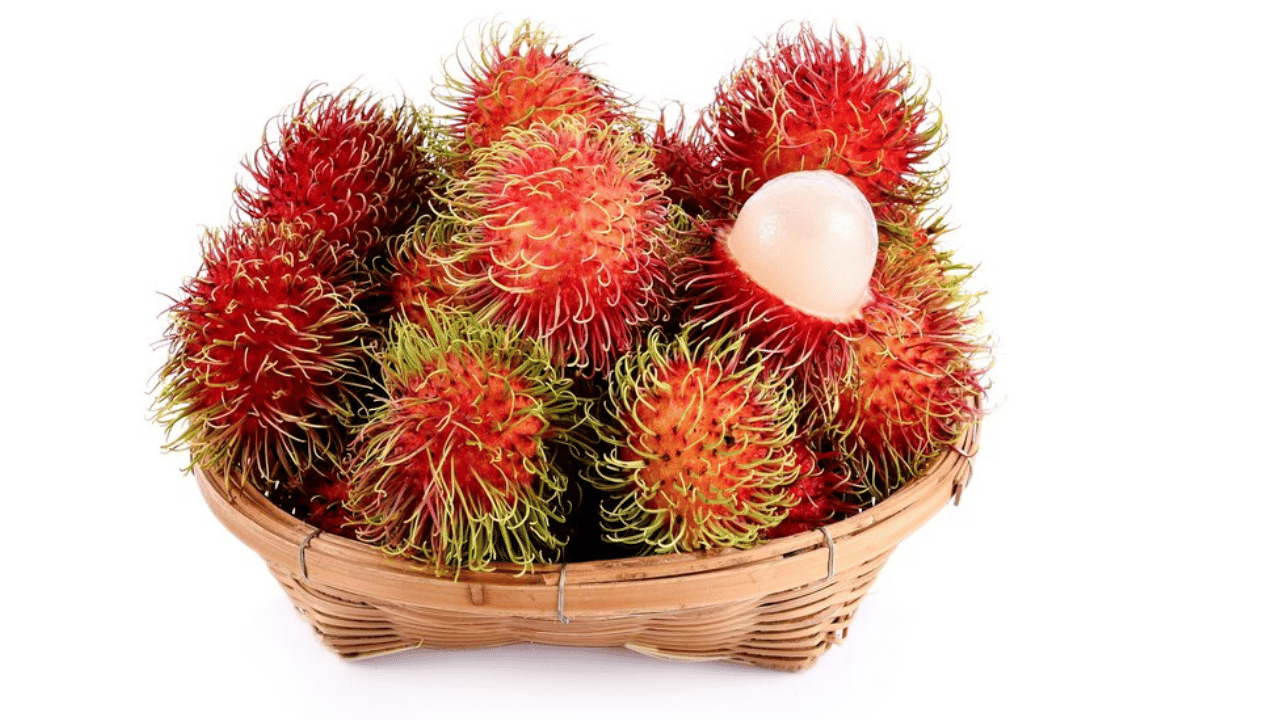 ഭാരം കുറയ്ക്കാൻ: കുറഞ്ഞ കലോറിയും ഉയർന്ന ജലാംശവും ഉള്ള റംബുട്ടാൻ കഴിക്കുന്നത്, വിശപ്പ് നിയന്ത്രിക്കുന്നതിനും, ജലാംശം നിലനിർത്തുന്നതിനും, സമീകൃതാഹാരം പ്രോത്സാഹിപ്പിക്കുന്നതിലൂടെ ശരീരഭാരം നിയന്ത്രിക്കുന്നതിനും സഹായിക്കുന്നു. നാരുകളാൽ സമ്പുഷ്ടമായ റംബുട്ടാൻ മലബന്ധം തടയുകയും ചെയ്യും.