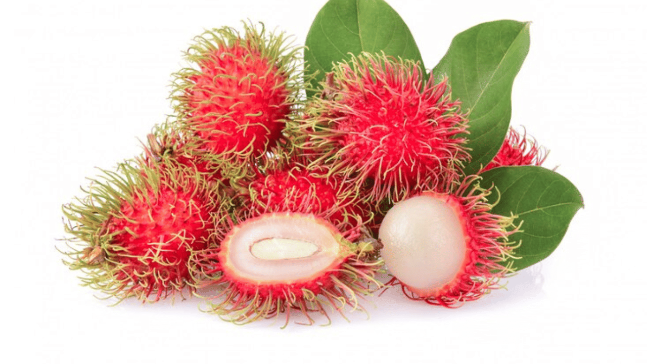 റംബുട്ടാനിൽ പ്രകൃതിദത്ത പഞ്ചസാരകൾ അടങ്ങിയിരിക്കുന്നു, അത് തൽക്ഷണം നിങ്ങൾ ഊർജ്ജം നൽകുന്നു. അതേസമയം അതിന്റെ വൈറ്റമിനുകൾ ഉപാപചയ കാര്യക്ഷമത മെച്ചപ്പെടുത്തുന്നു.  അസ്ഥികളെ ശക്തിപ്പെടുത്തുന്നതിനും, അസ്ഥികളുടെ സാന്ദ്രത മെച്ചപ്പെടുത്തുന്നതിനും റംബൂട്ടാൻ നിങ്ങൾക്ക് ധൈര്യമായി കഴിക്കാം.