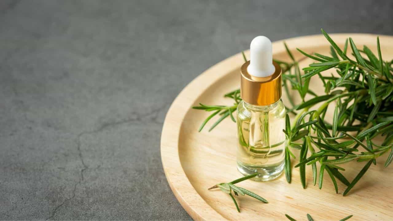 Rosemary Benefits: മുടി പനങ്കുല പോലെ വളരാന്‍ റോസ്‌മേരി സെറം മാത്രം മതി; ഉപയോഗിച്ചുനോക്കൂ