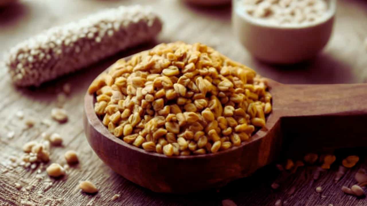 Sugar Control Tips: രാവിലെ തന്നെ ഈ വെള്ളം കുടിച്ചാൽ മതി, പ്രമേഹം അടുക്കില്ല Sugar Control Tips: രാവിലെ തന്നെ ഈ വെള്ളം കുടിച്ചാൽ മതി, പ്രമേഹം അടുക്കില്ല