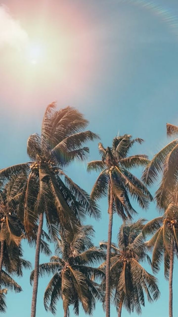 ചൂടുകാലം നമ്മളെ വല്ലാതെ ബുദ്ധിമുട്ടിക്കുകയാണ്. ഈ സമയത്ത് നമ്മുടെ ആരോഗ്യസംരക്ഷണത്തിനായി ശ്രദ്ധിക്കേണ്ട ചില കാര്യങ്ങളുണ്ട്.