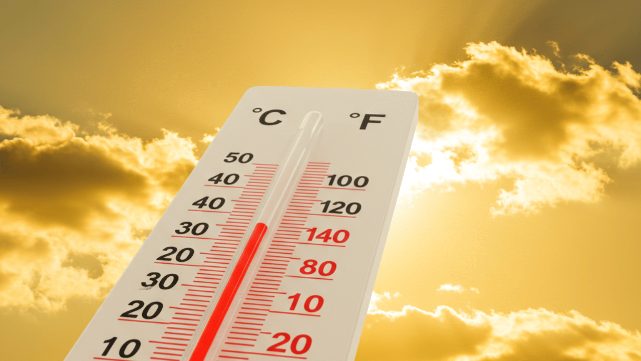 Telangana Heat Stroke Compensation: സൂര്യാതപമേറ്റ് മരിച്ചവരുടെ കുടുംബത്തിന് നാല് ലക്ഷം രൂപ നഷ്ടപരിഹാരം; പ്രഖ്യാപനവുമായി തെലങ്കാന സർക്കാർ Telangana Heat Stroke Compensation: സൂര്യാതപമേറ്റ് മരിച്ചവരുടെ കുടുംബത്തിന് നാല് ലക്ഷം രൂപ നഷ്ടപരിഹാരം; പ്രഖ്യാപനവുമായി തെലങ്കാന സർക്കാർ