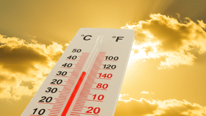 Telangana Heat Stroke Compensation: സൂര്യാതപമേറ്റ് മരിച്ചവരുടെ കുടുംബത്തിന് നാല് ലക്ഷം രൂപ നഷ്ടപരിഹാരം; പ്രഖ്യാപനവുമായി തെലങ്കാന സർക്കാർ