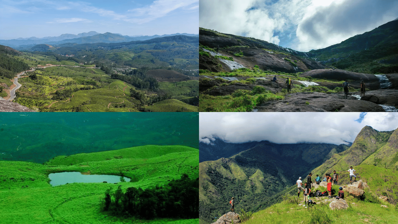 Kerala Trekking Spot: ഇടതൂർന്ന് നിൽക്കുന്ന കാടും ഒപ്പം ട്രക്കിംഗും; കേരളത്തിലെ ഈ സ്ഥലങ്ങളിൽ പോകേണ്ടത് തന്നെ Kerala Trekking Spot: ഇടതൂർന്ന് നിൽക്കുന്ന കാടും ഒപ്പം ട്രക്കിംഗും; കേരളത്തിലെ ഈ സ്ഥലങ്ങളിൽ പോകേണ്ടത് തന്നെ