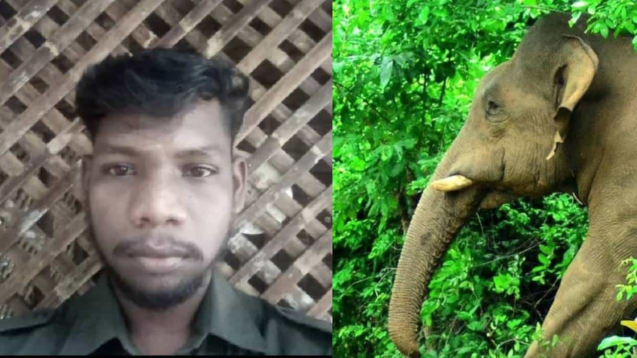 Athirappilly Elephant Attack: അതിരപ്പിള്ളി കാട്ടാന ആക്രമണം; വാഴച്ചാലിലെ സതീഷിന്റെ മരണം ആനയുടെ ചവിട്ടേറ്റ്, അംബികയുടേത് മുങ്ങിമരണം
