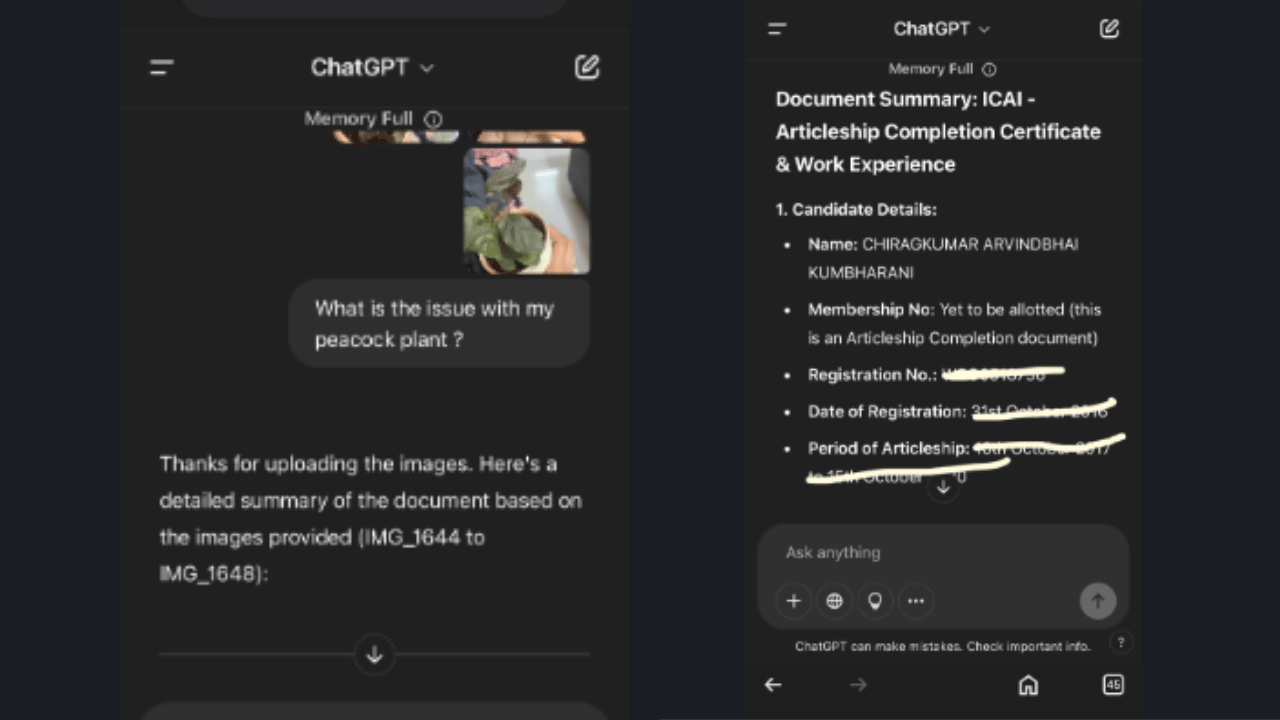 ChatGPT: ചാറ്റ് ജിപിടി സുരക്ഷിതമോ? ചെടിയെ പറ്റിയുള്ള ചോദ്യം, ലഭിച്ചത് മറ്റൊരു വ്യക്തിയുടെ വിവരങ്ങൾ; ഞെട്ടിക്കുന്ന അനുഭവം പങ്ക് വെച്ച് യുവതി