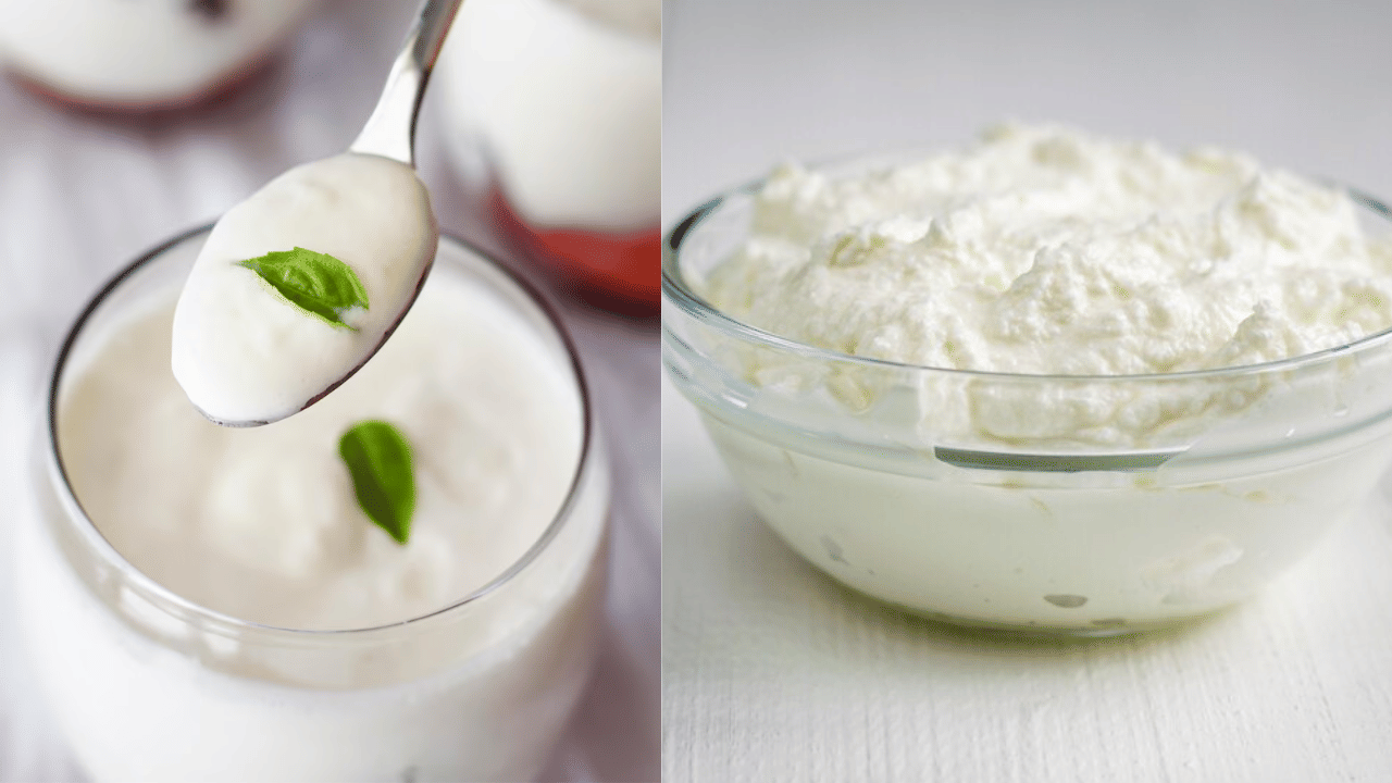 Kitchen Hacks: ഇനി തൈര് കേടാകില്ല! ഫ്രഷായി നിൽക്കും; ഈ പൊടികൈകൾ പരീക്ഷിക്കൂ