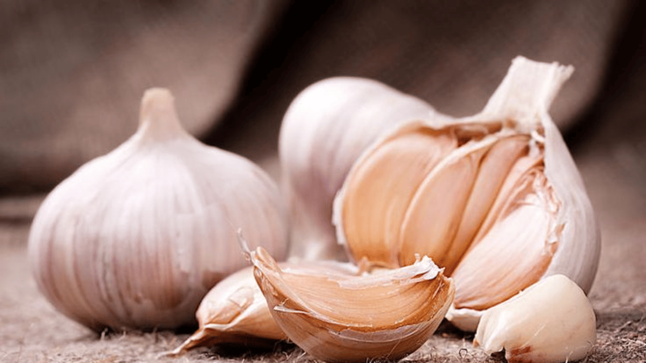 വെളുത്തുള്ളിയിലെ ആന്റിഓക്സിഡന്റ്, ആന്റിബാക്ടീരിയൽ, ആന്റിവൈറൽ ഗുണങ്ങൾ രോഗപ്രതിരോധശേഷി വർധിപ്പിക്കുന്നു.
