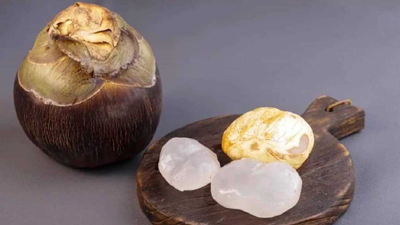 Ice Apples: ചുട്ടുപൊള്ളുന്ന വേനലില് ആശ്വാസം പകരാൻ ചങ്ക് ആയി നൊങ്ക് Ice Apples: ചുട്ടുപൊള്ളുന്ന വേനലില് ആശ്വാസം പകരാൻ ചങ്ക് ആയി നൊങ്ക്
