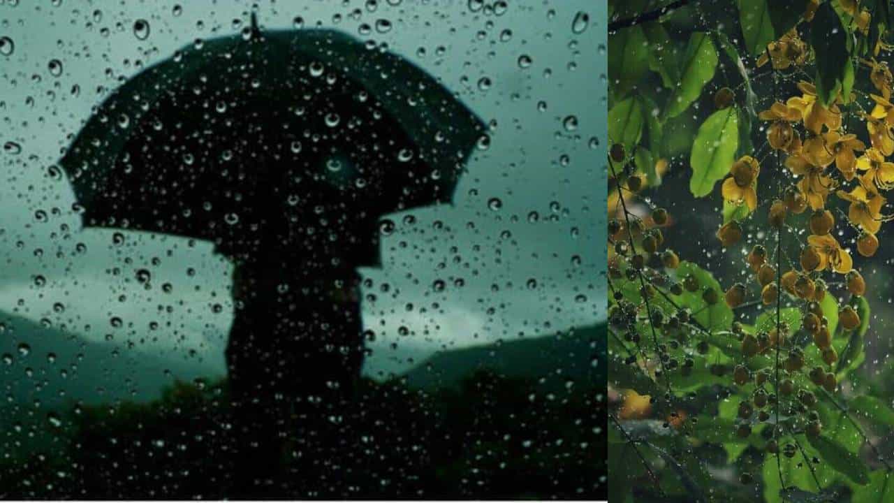 Kerala Weather Update: വിഷു വെള്ളത്തിലാകുമോ! നാളെ വരെ സംസ്ഥാനത്ത് ഇടിമിന്നലോടുകൂടിയ മഴ; തിരുവനന്തപുരത്ത് കള്ളക്കടൽ മുന്നറിയിപ്പ്