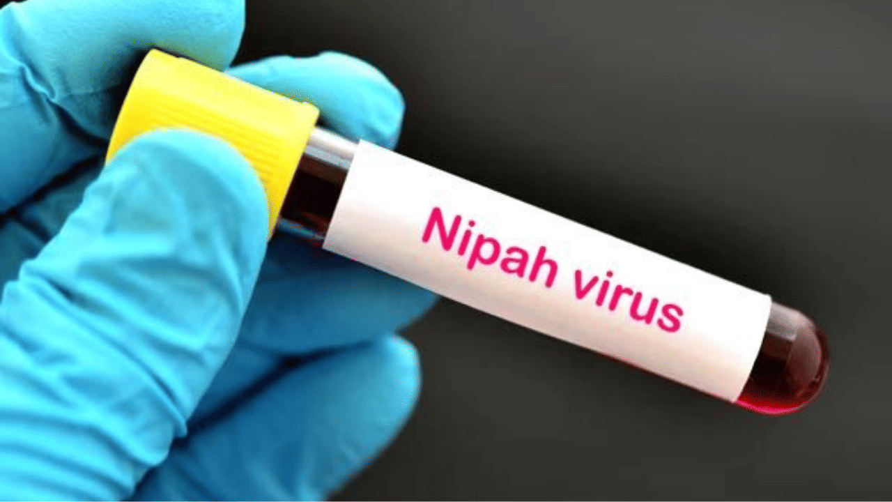Nipah Symptoms: വീണ്ടും നിപ്പ? കോഴിക്കോട് മെഡിക്കൽ കോളജിൽ യുവതി ചികിത്സ തേടി
