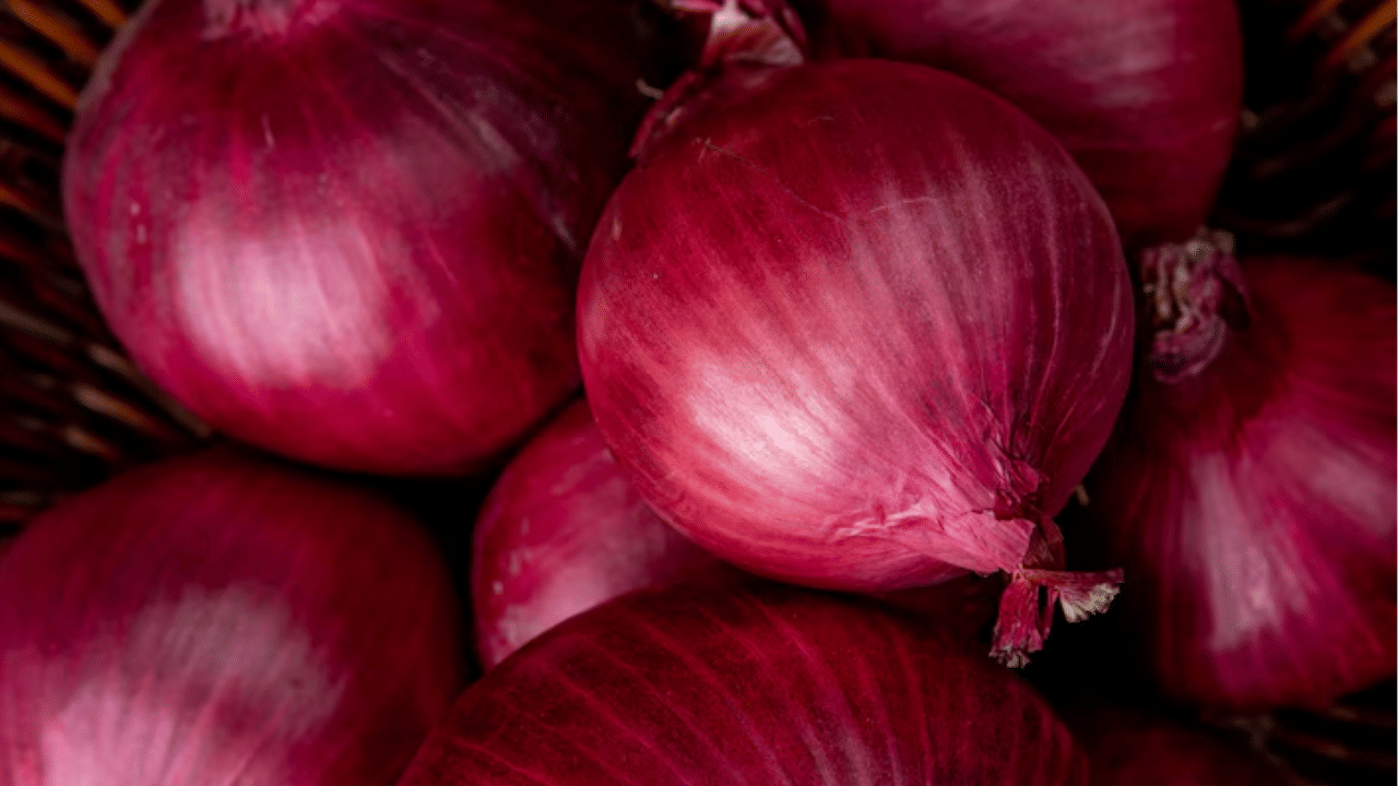 സവാളയിലെ ചില ഘടകങ്ങൾ ഹോർമോണുകളുടെ ഉത്പാദനം വളർത്തുകയും, എല്ലുകളുടെ ആരോഗ്യം മെച്ചപ്പെടുത്തുകയും ചെയ്യുന്നു.