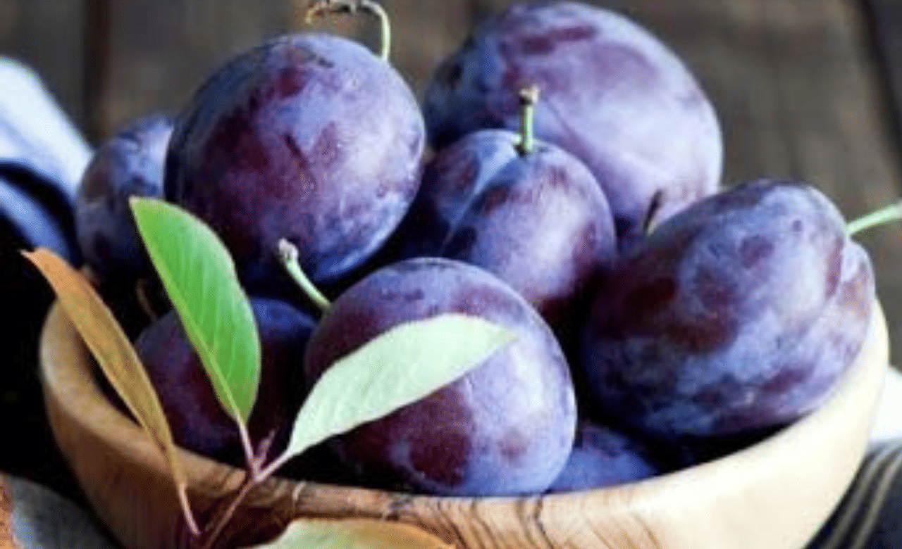 പ്ലം പഴത്തിൽ അടങ്ങിയിരിക്കുന്ന ആന്റിഓക്സിഡന്റുകൾ ശരീരത്തെ ഫ്രീ റാഡിക്കലുകളിൽ നിന്ന് സംരക്ഷിക്കുന്നു.