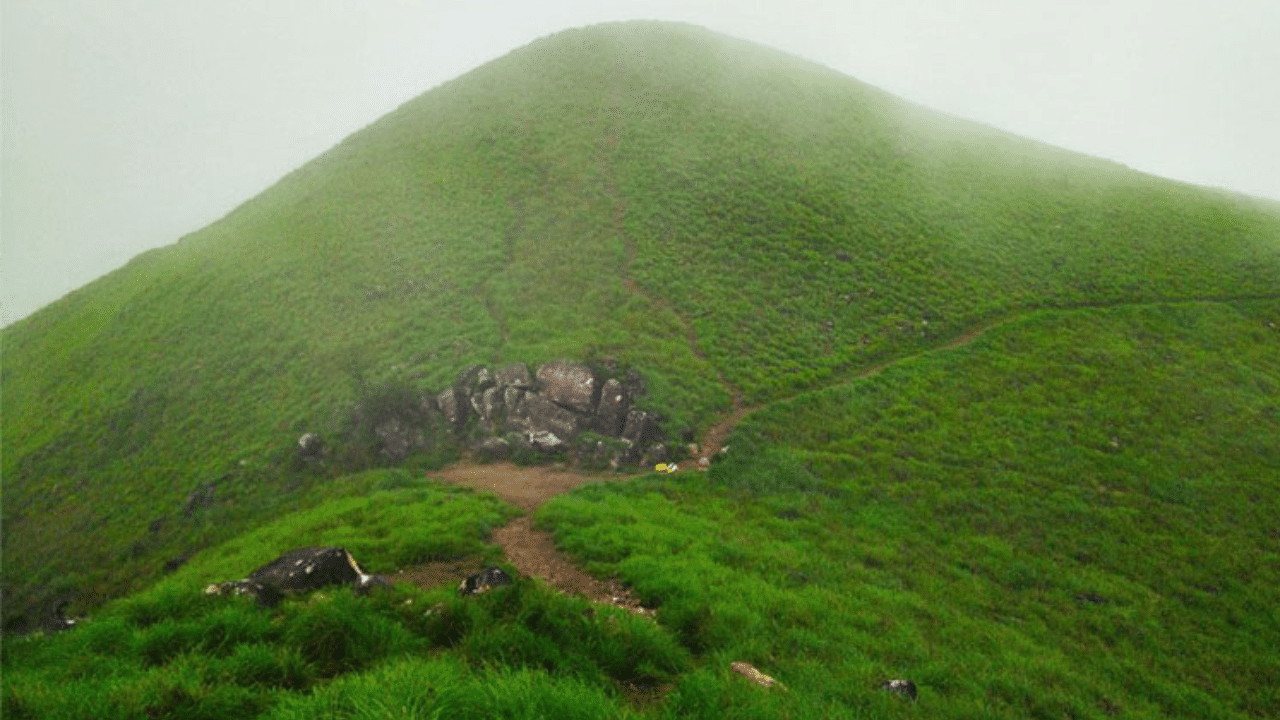 Kasaragod Ranipuram: വന്യജീവികളുടെ വിഹാരകേന്ദ്രം, പച്ചപ്പിന്റെ റാണി; കുറഞ്ഞ ചെലവിൽ റാണിപുരം കാണാം