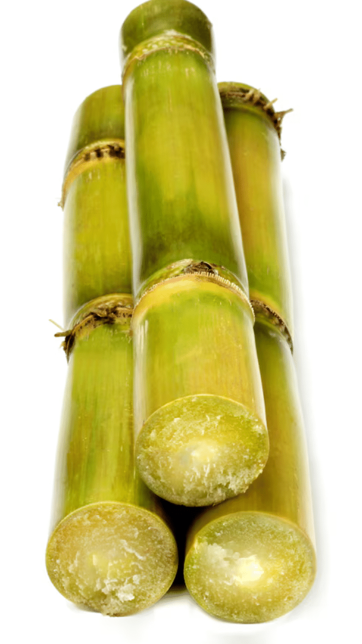 Sugarcane Juice For Health : നാരുകൾ ധാരാളമുള്ളതിനാൽ ദഹനം മെച്ചപ്പെടുത്താനും മലബന്ധം അകറ്റാനും കുടലിൻറെ ആരോഗ്യം സംരക്ഷിക്കാനും കരിമ്പ് വളരെ നല്ലതാണ്.