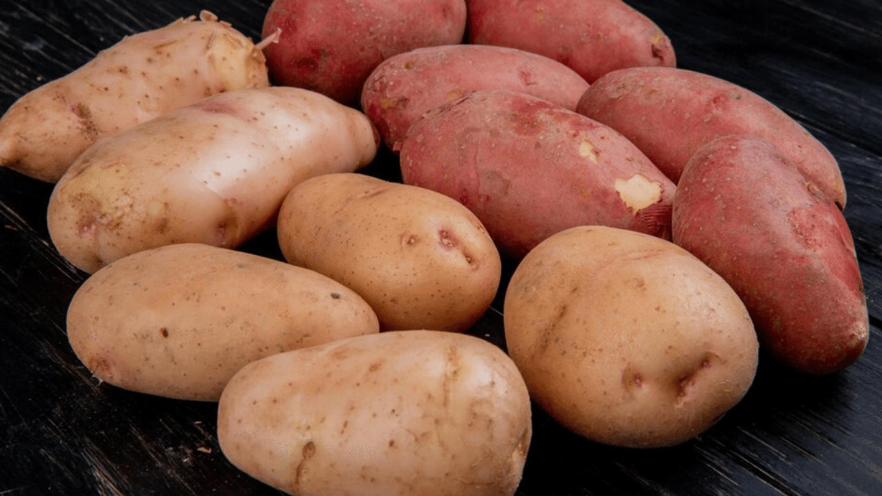 മധുരക്കിഴങ്ങിൽ അടങ്ങിയിട്ടുള്ള വിറ്റാമിൻ സി, വിറ്റാമിൻ ബി 6, ആന്റിഓക്സിഡന്റുകൾ എന്നിവ രോഗപ്രതിരോധ ശേഷി നൽകുന്നു.