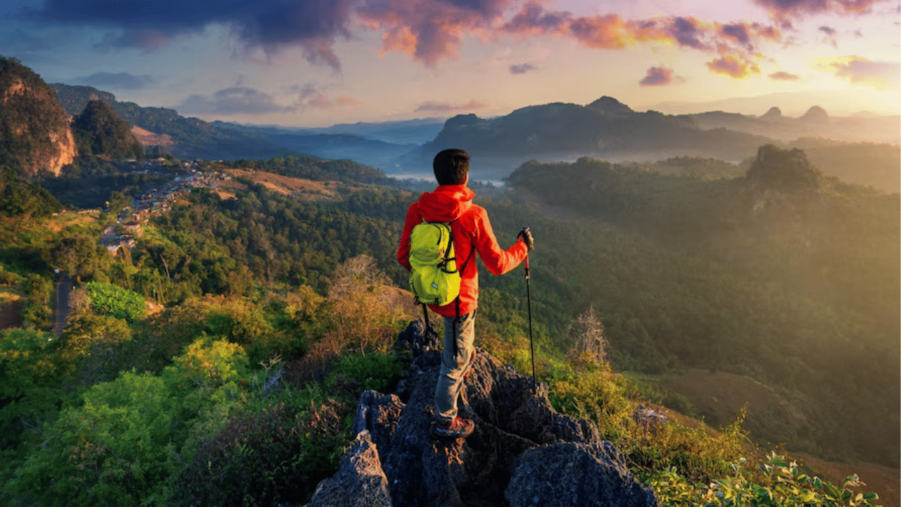 Trekking Spots In Kerala: കാടും മലയും താണ്ടിയൊരു യാത്ര; കേരളത്തിലെ അടിപൊളി ട്രക്കിംഗ് സ്പോട്ടുകൾ ഇവയൊക്കെ...